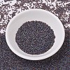 MIYUKI Delica Beads SEED-X0054-DB0865-2
