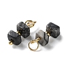 Natural Netstone Cuboid Beaded Pendants STAS-C120-02G-01-2