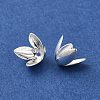 Rack Plating Brass Flower Bead Caps KK-K381-06A-S-2