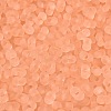 FGB Frosted Transparent Glass Seed Beads SEED-N013-06A-04-3