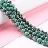 Natural African Turquoise(Jasper) Beads Strands G-E444-47-8mm-4