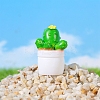 Resin Cactus Pot Model PW-WGF944F-01-1