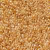 MIYUKI Round Rocailles Beads SEED-X0056-RR0234-2