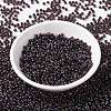 MIYUKI Round Rocailles Beads SEED-G008-RR4502-2