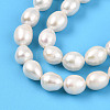 Natural Cultured Freshwater Pearl Beads Strands PEAR-N012-06Y-01-4