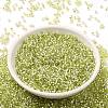 Glass Seed Beads X-SEED-S042-04B-24-2