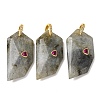 Natural Labradorite Pendants GG-CBA51ED-04G-01-1