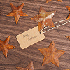 Star Rust Iron Big Pendants IFIN-GF0001-10A-6