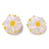 Handmade Lampwork Enamel Beads LAMP-Z020-05C-1