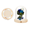 Glass Dome Cover AJEW-WH0752-088B-1