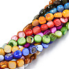 Natural Trochid Shell/Trochus Shell Beads Strands SHEL-S258-083-2