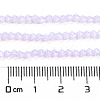 Baking Paint Transparent Glass Beads Strands DGLA-F029-J2mm-07-5