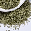MIYUKI Delica Beads SEED-MY11-DB2124-1