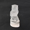 Natural Selenite Figurines DJEW-Q006-01G-3