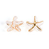 Transparent Acrylic Beads TACR-T028-71-3