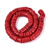 Natural Freshwater Shell Beads Strands SHEL-N037-03A-04-2