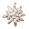 304 Stainless Steel Pendants STAS-Z149-05B-P-1