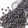 TOHO Round Seed Beads SEED-JPTR08-PF0568F-1