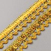 13M Metallic Lace Trim Ribbon with Paillettes OCOR-WH0070-123B-1