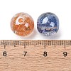 Luminous Transparent Resin & Glitter Powder Beads RESI-C073-16-4
