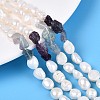 Natural Purple Fluorite Nuggets & Natural Cultured Freshwater Pearl Beads Strands PEAR-N023-01A-08-1