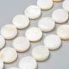 Natural Freshwater Shell Beads BSHE-I011-01C-02-1