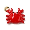 Zinc Alloy Enamel Pendants X-FIND-I044-17B-1-1