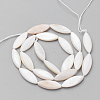 Natural Shell Beads Strands PBB220Y-1-1