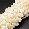 Natural Trochid Shell/Trochus Shell Beads Strands SSHEL-K010-03-1