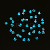 Glow in the Dark Luminous Transparent Glass Seed Beads SEED-YWC0001-01E-7