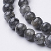 Natural Larvikite/Black Labradorite Beads Strands X-GSR6mmC128-2