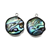 304 Stainless Steel Pave Natural Paua Shell Pendants STAS-Z125-01H-P-1