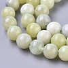 Natural Sinkiang Jade Beads Strands G-L538-036-6mm-2