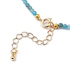 Natural Apatite Beaded Necklaces NJEW-JN02990-03-2