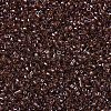 MIYUKI Delica Beads SEED-X0054-DB1891-3