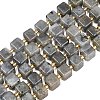 Natural Labradorite Beads Strands G-F832-A09-01-2