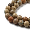 Natural Aqua Terra Jasper Beads Strands G-E444-14B-6mm-3