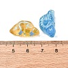 Painted Handmade Lampwork Beads FIND-C076-09-4