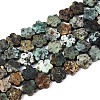 Natural African Turquoise(Jasper) Beads Strands LS-G-N257-24A-05-2
