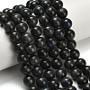Natural Black Labradorite Beads Strands G-L642-B15-10mm-1