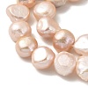Natural Cultured Freshwater Pearl Beads Strands PEAR-A006-10F-4