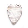 Tibetan Style Alloy Pendants LS-TIBEP-A20287-AS-FF-2