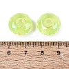 Transparent Acrylic European Beads OACR-E033-25E-3