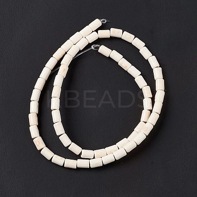 Synthetic Turquoise Beads Strands TURQ-G120-4x6mm-12-1
