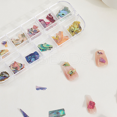1 Set 12 Colors Shell Slices MRMJ-SP0001-05A-1