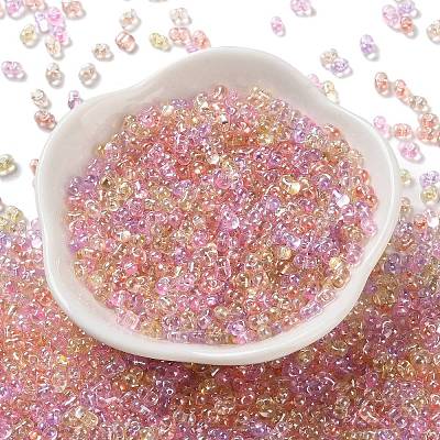 Glass Seed Beads SEED-L011-05B-10-1