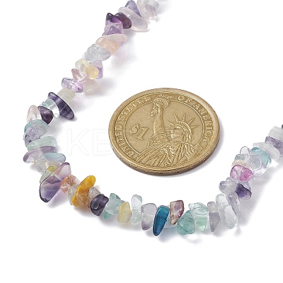 Natural Fluorite Chip Beaded Necklace NJEW-JN04615-11-1