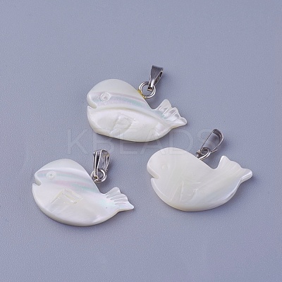 Shell Pendants SSHEL-E571-02P-1