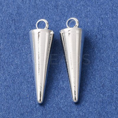 304 Stainless Steel Pendants STAS-G214-47S-01-1