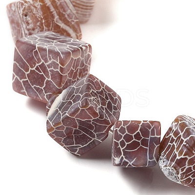 Natural Weathered Agate Beads Strands G-Q169-C04-02A-1